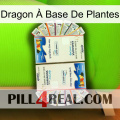 Dragon À Base De Plantes kamagra1